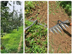GardenPro Haverive – Effektiv Havepleje