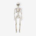 BoneMotion – Animeret Halloween Skeletdekoration 40 cm Hvid 40 CM