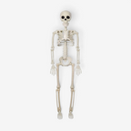 BoneMotion – Animeret Halloween Skeletdekoration 40 cm Hvid 40 CM