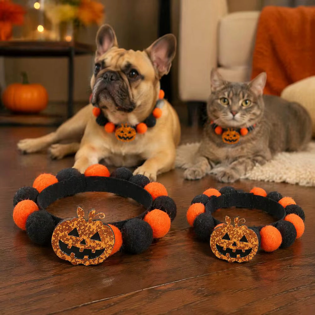 SpookyPaws – Halloween Halsbånd til Kæledyr