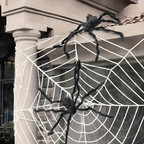 Arachnox – Halloween Edderkop Sæt med Spindelvæv