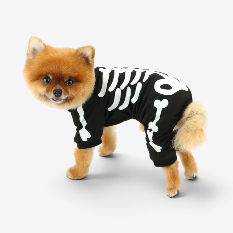BonePaws – Halloween Hundejumpsuit med Glow-in-the-Dark Skeletprint Sort
